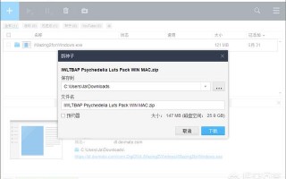 电脑上有没有什么软件可以代替迅雷的？