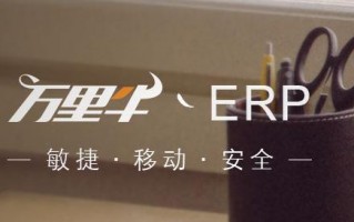 ERP是什么意思？