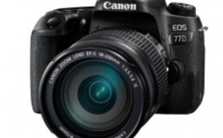 新手想入手一个APS-C画幅相机，佳能77D尼康D7200，D7500，价位都差不多，选择哪个？