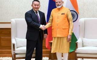 关于9月19日蒙古国总统10年来首次对印度进行国事访问，对此你有何高见？