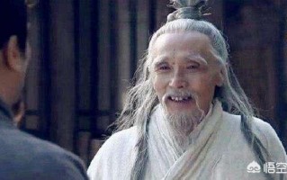 水镜先生为什么只推荐诸葛亮和庞统而不推荐司马懿给刘备？