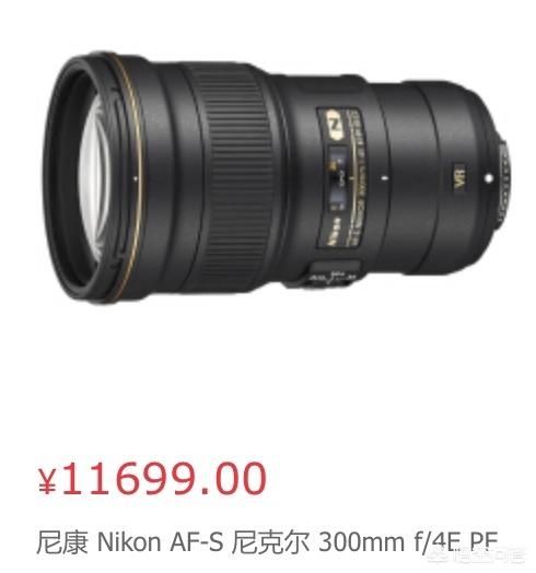 尼康d7200，已入70-200，想入一个超长焦打鸟，如何选择？-第2张图片