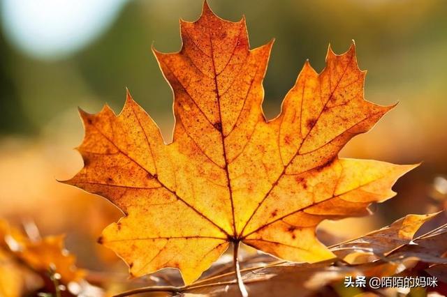 网友见面了？怎么办？-第3张图片