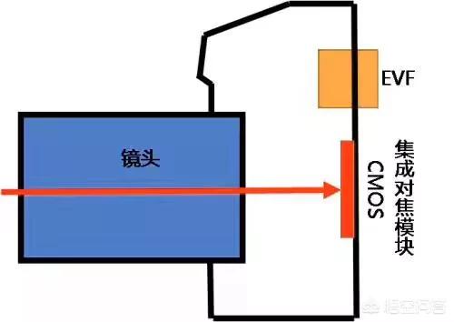 索尼A9和A99M2是什么风格的单反？-第3张图片