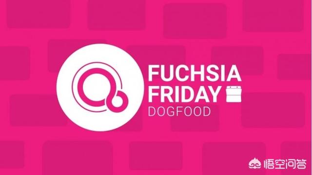 谷歌Fuchsia系统开发已进入尾声了吗？-第1张图片