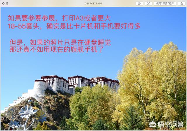 听说佳能1855镜头是鸡肋中的鸡肋，这镜头成像质量如何？佳能800D配哪款镜头？-第1张图片