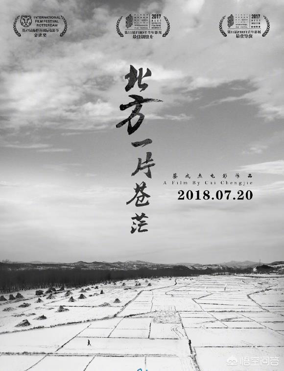 有哪些很荒诞很邪性的国产电影？-第2张图片