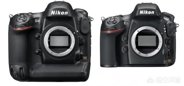 尼康D800相机3600万像素，而尼康D4相机为什么只有1620万像素却比D800贵？-第1张图片