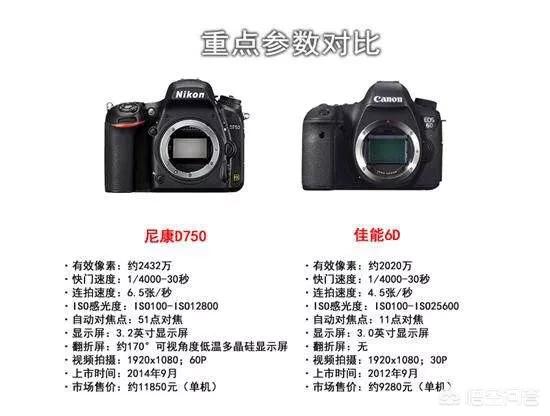 佳能6D 6D2和尼康D10 D750这样入门级全画幅单反，哪款更适合摄影小白入手？-第5张图片