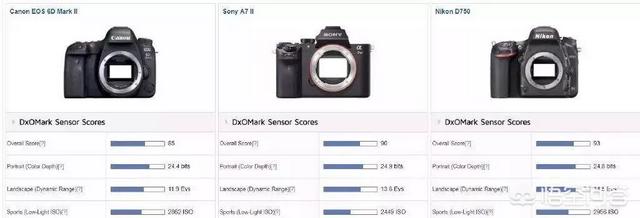 佳能6D 6D2和尼康D10 D750这样入门级全画幅单反，哪款更适合摄影小白入手？-第6张图片