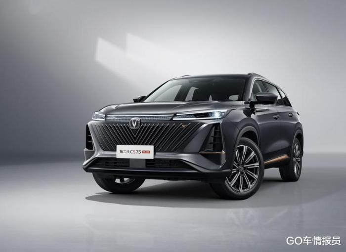 13万油电混动suv，凌派混动13万能落地-第12张图片