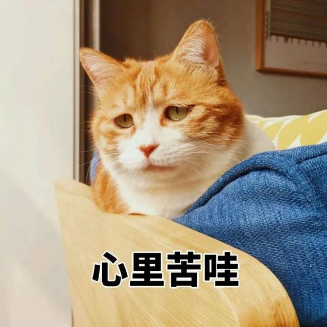 小米公司要造汽车了吗，小米汽车工厂选址地即将水落石出-第19张图片