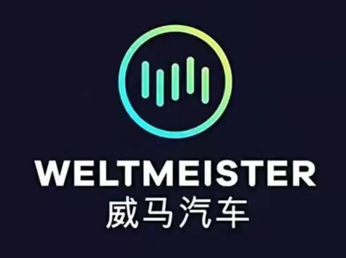 威马W6预售即将开启，威马汽车W6五月销量怎么样-第5张图片