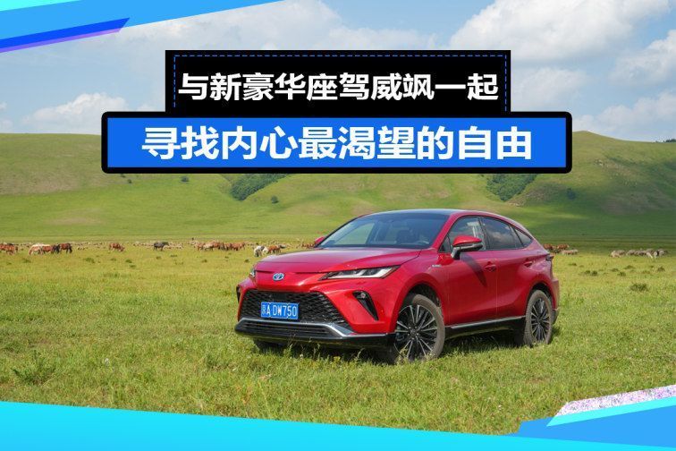 与新豪华座驾威飒一起的车型，与新豪华座驾威飒一样的车-第1张图片