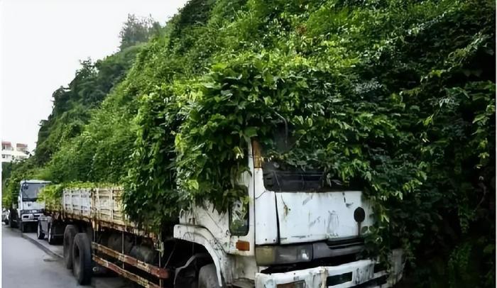 汽车不报废成僵尸车会怎样，僵尸车不报废对车主影响-第4张图片