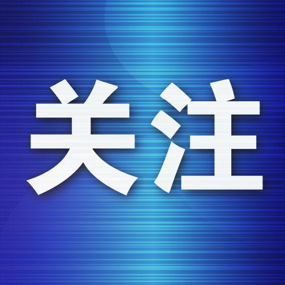 大连星海广场今天有车展吗，2020大连星海广场车展-第1张图片