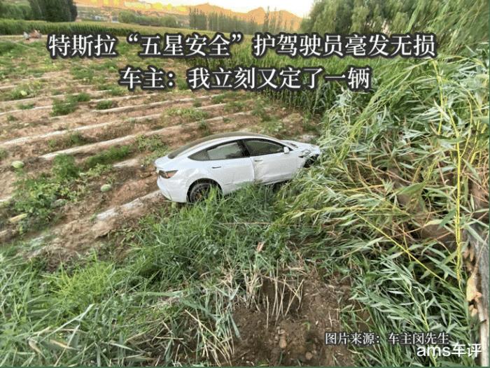 特斯拉 树叶掉进车头，广州一特斯拉撞树后自燃-第1张图片