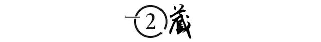 重庆救火英雄龙麻子图片，重庆救火英雄龙麻子作文-第8张图片