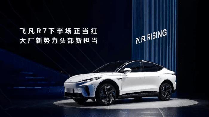 国家队入场是什么意思，国家队入场意味着什么-第1张图片