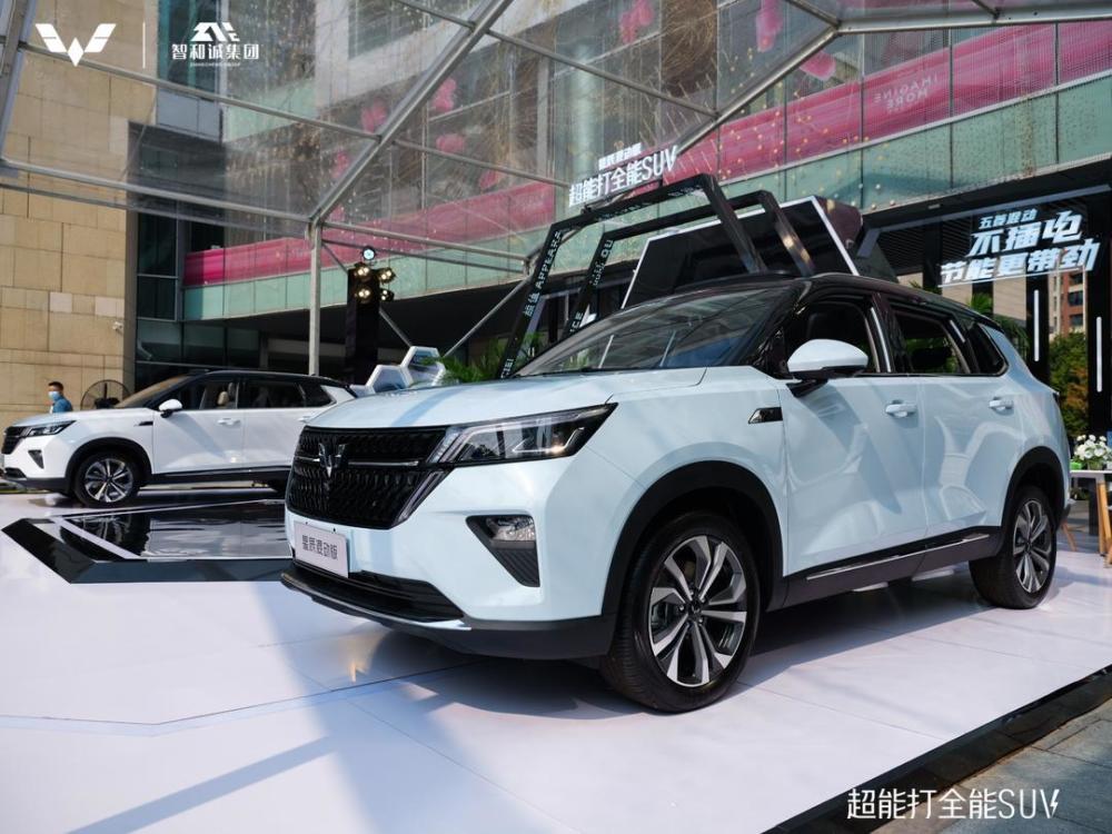 五菱再出神车 十五万，五菱神车下来50多人-第1张图片