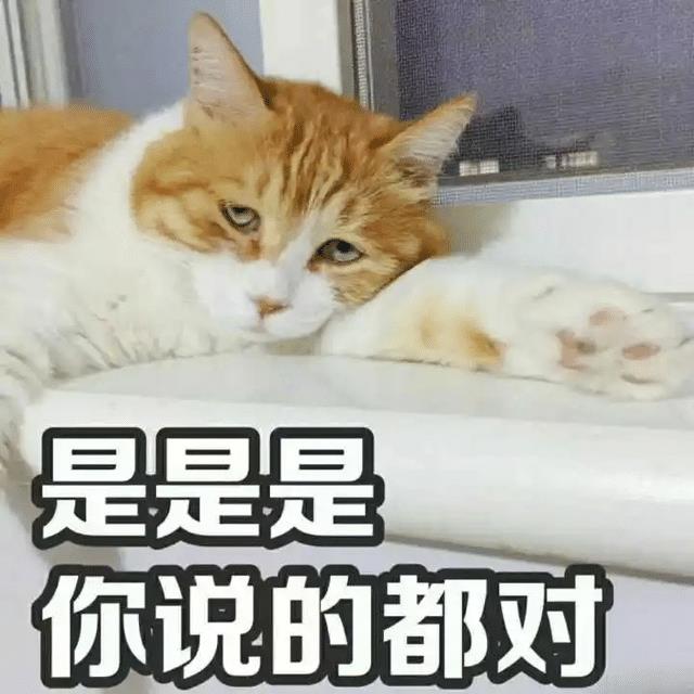 成都11月12日车展，成都火锅展销会2021时间表-第25张图片