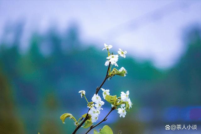 立冬过后就是冬季了吗，天气谚语 十月还有小阳春-第4张图片