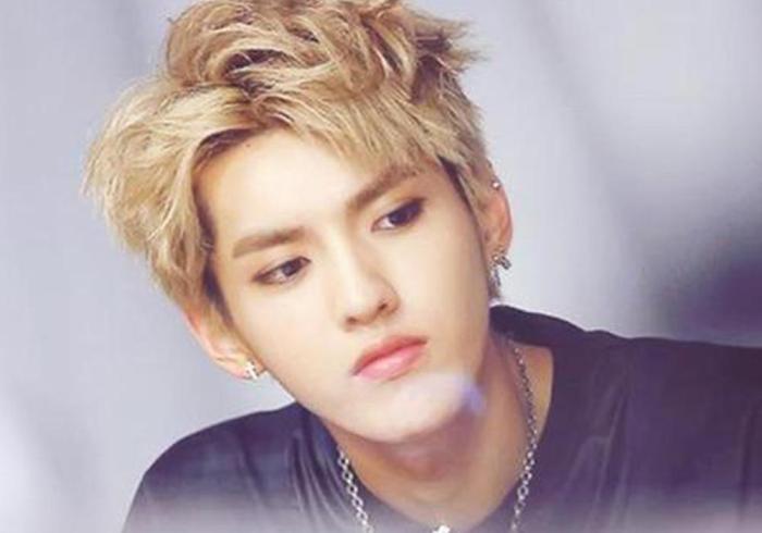 吴亦凡当庭上诉是真的吗，吴亦凡把粉丝告上法庭-第6张图片