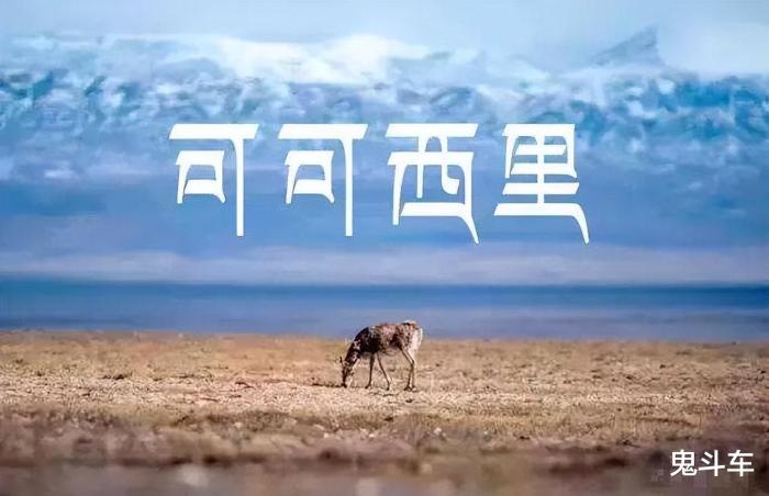 bj40能跑多少公里，bj40公里数怎么看-第1张图片