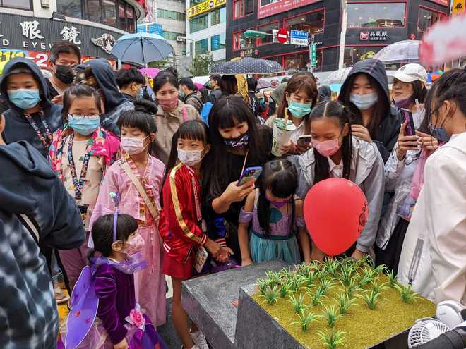 为了炫耀万圣节造型的人，为了炫耀万圣节造句子-第5张图片