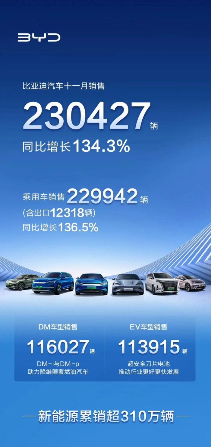 连续单月销量破20万的车，比亚迪汽车11月销量-第1张图片