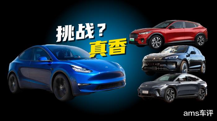 特斯拉model y 30万，特斯拉特斯拉model y-第3张图片