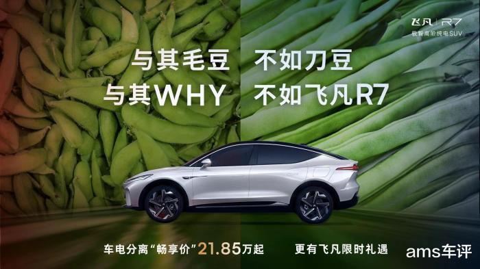 特斯拉model y 30万，特斯拉特斯拉model y-第4张图片