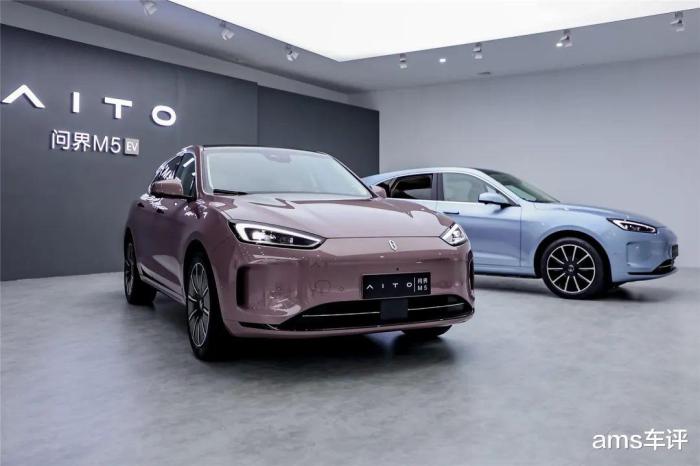 特斯拉model y 30万，特斯拉特斯拉model y-第12张图片