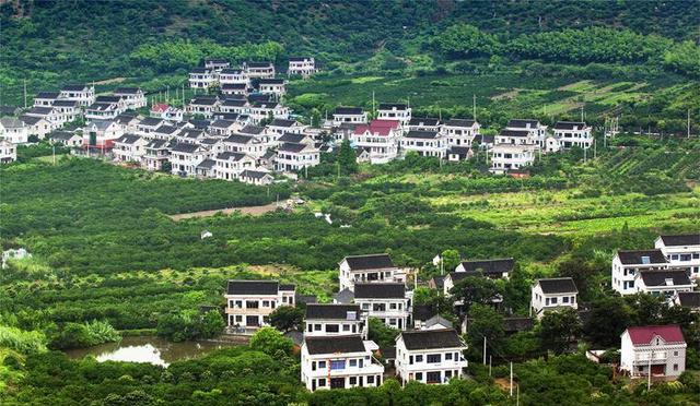 中央定了村支书村主任要取消，中央撤销村主任是真的吗-第1张图片