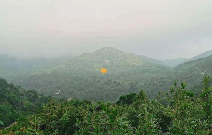 龙要合向向要合水详解，龙合山山合向向合水水合三吉阴阳正配五行平行-第3张图片