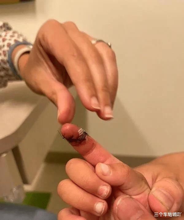 郑爽的不利消息一共几集，郑爽的不利消息一共多少集-第9张图片