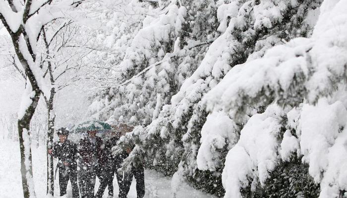 中央气象台发布今冬首个暴雪预警，中国天气今年遇60年最冷的消息是真的吗-第2张图片