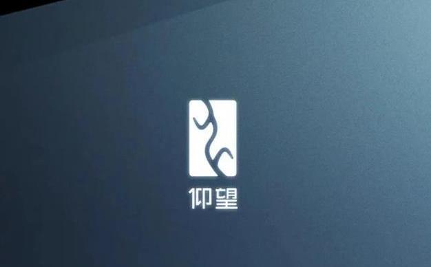 比亚迪为什么不出越野车，比亚迪200多万的车-第3张图片