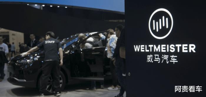 2022年全面取消汽车，中国2030年取消汽车吗-第2张图片