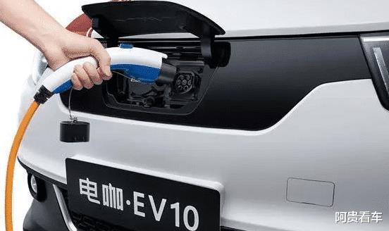 2022年全面取消汽车，中国2030年取消汽车吗-第13张图片