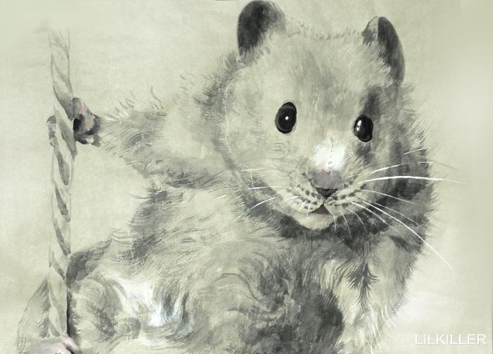 84年生肖鼠的幸运色，鼠年运程1984生肖鼠-第4张图片