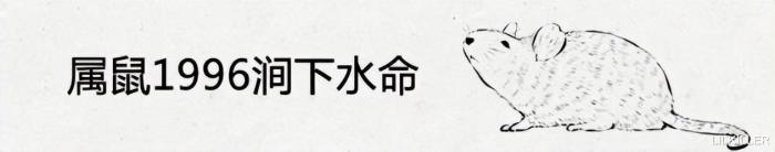 84年生肖鼠的幸运色，鼠年运程1984生肖鼠-第7张图片