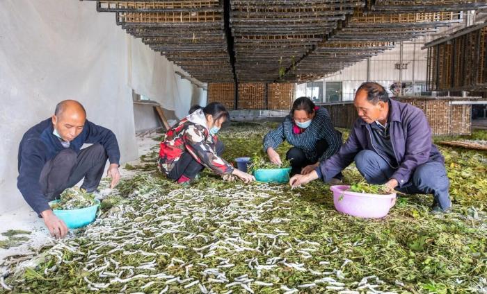 全国出现60年一遇寒冬，今年是60年一遇的寒冬-第3张图片