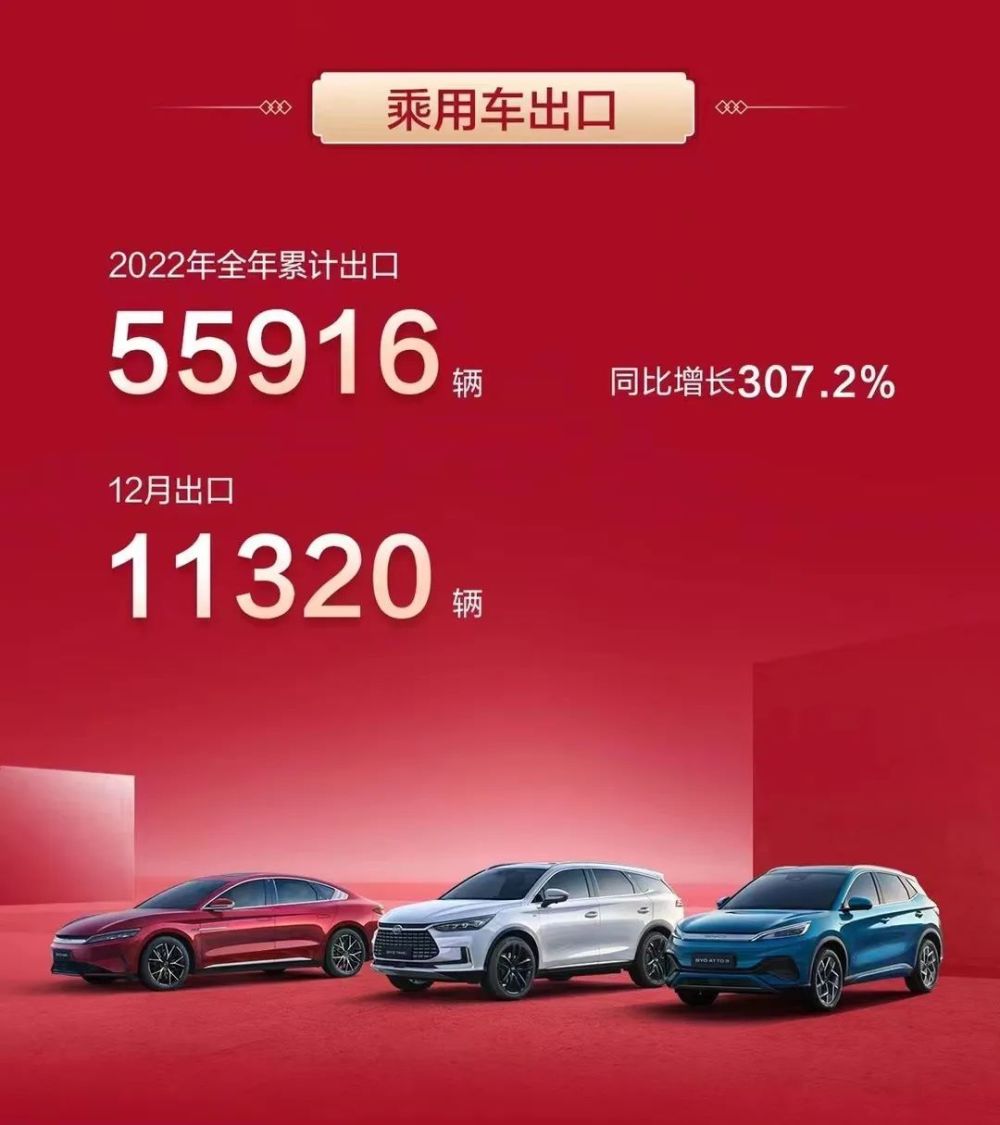 比亚迪2022年销量，比亚迪2021年销售量-第6张图片