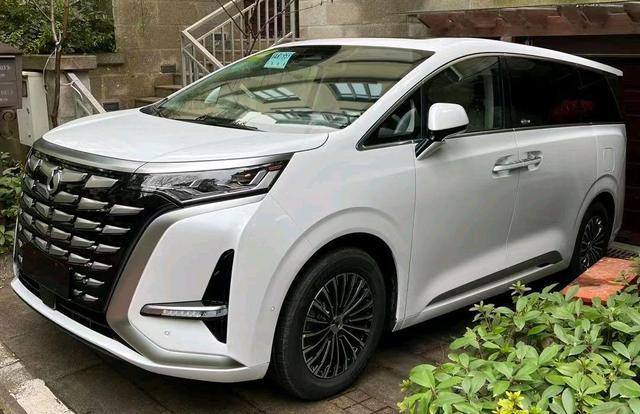 wey品牌将推2款高端mpv，wey mpv车型照片-第8张图片