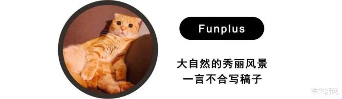 2022款奥迪a6谍照，2023款奥迪A6谍照-第7张图片
